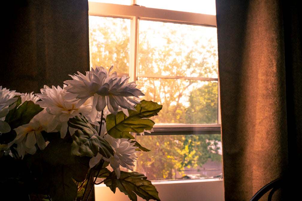 William H. Pope Suite 4